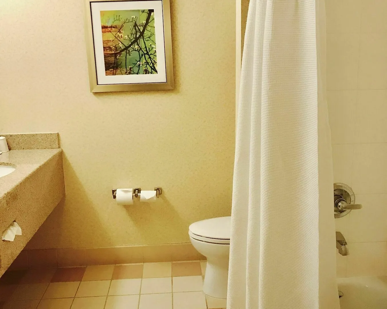 Fairfield Inn And Suites Sacramento Airport Natomas West Sacramento Hotel